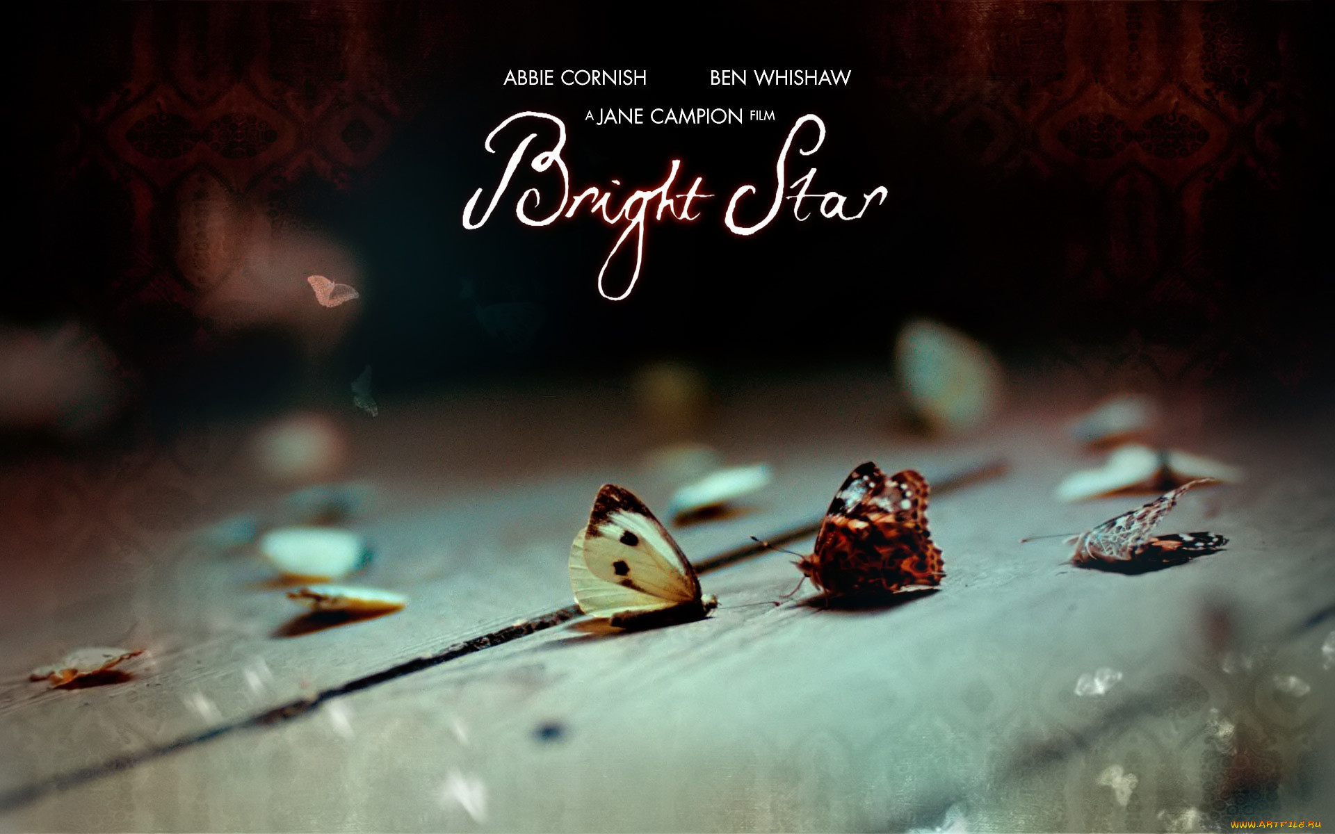  , bright star, , 